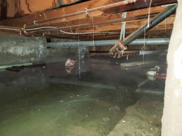 Trusted Laramie, WY Water damage restoration Experts